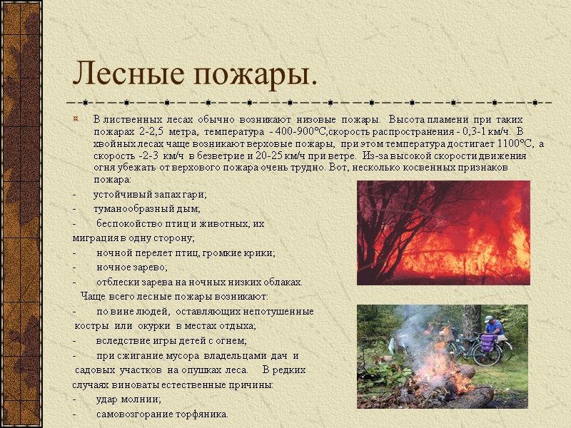 Лесные пожары. В лиственных  лесах  обычно  возникают  низовые  пожары.